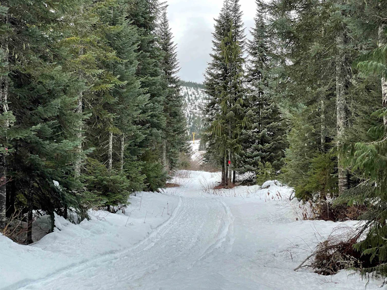 20785 Mt Downing Road, Mission, BC, V0M 1A1 - 17