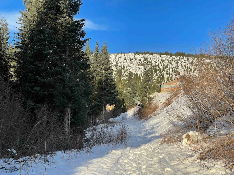 20785 Mt Downing Road, Mission, BC, V0M 1A1 - 20