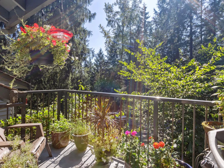 3394 William Avenue, North Vancouver, BC, V7K 2Z6 - 8
