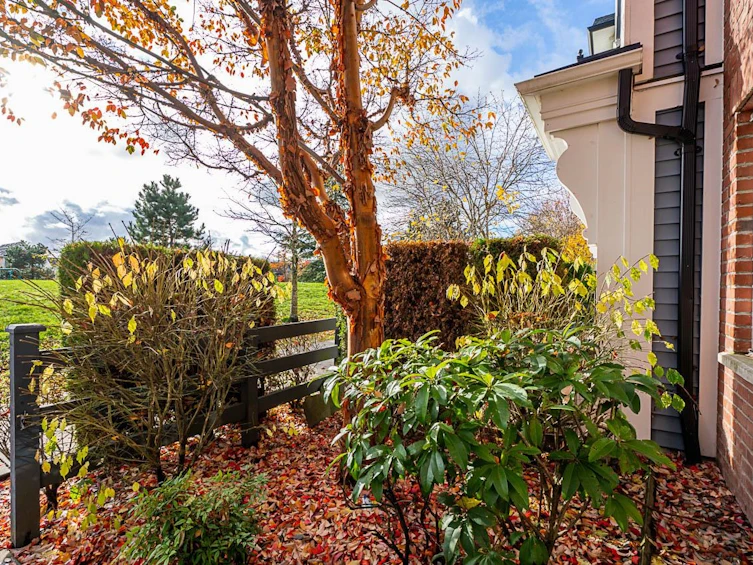 16-7348 192a Street, Surrey, BC, V4N 6J2 - 3