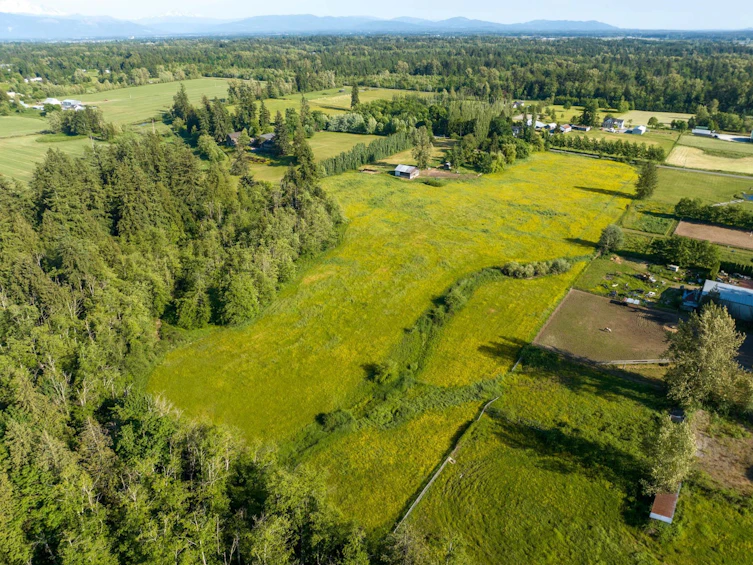 22563 2 Avenue, Langley, BC, V2Z 2V8 - 3