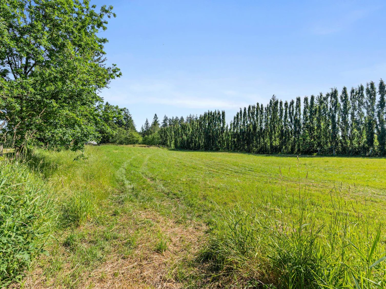 22563 2 Avenue, Langley, BC, V2Z 2V8 - 4