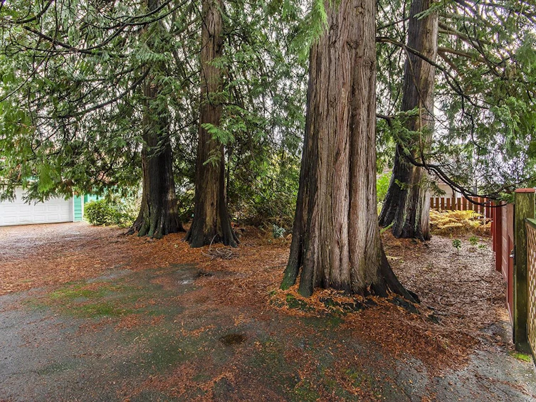 1835 Westview Drive, North Vancouver, BC, V7M 3A7 - 10