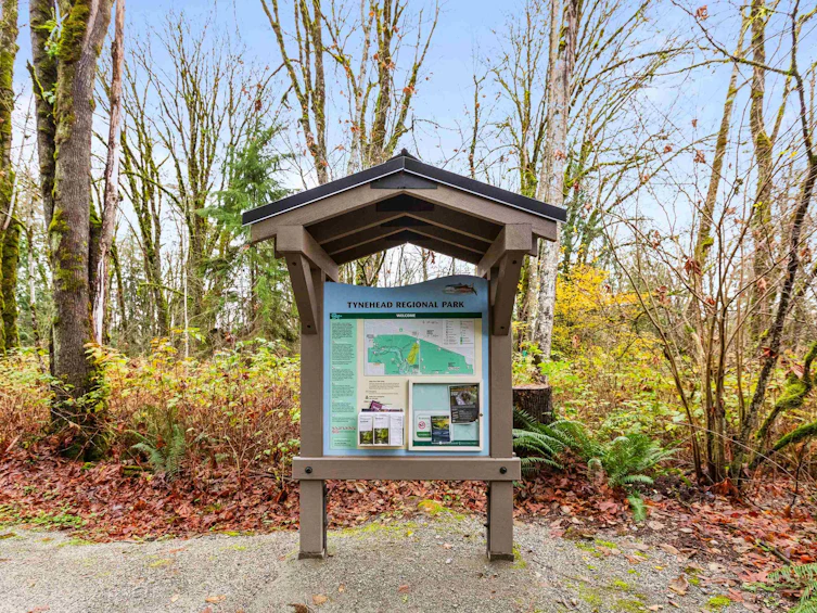 6-9718 161a Street, Surrey, BC, V4N 6S7 - 38