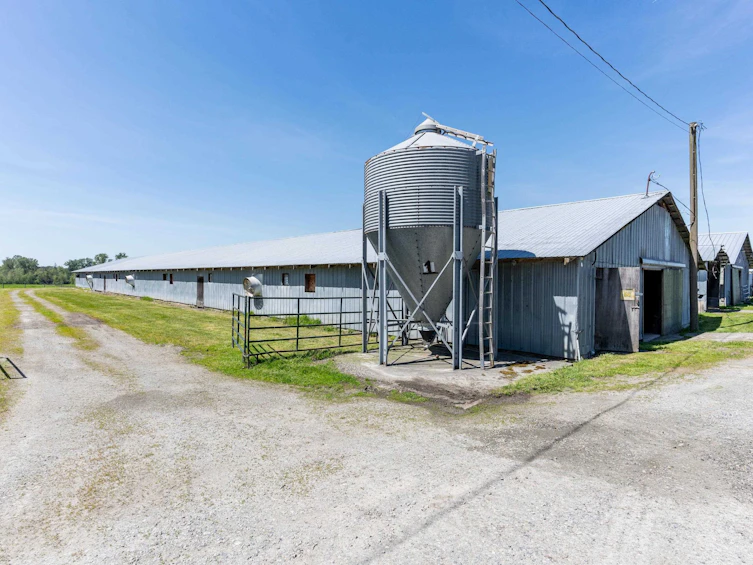 2623 216 Street, Langley, BC, V2Z 1P4 - 38