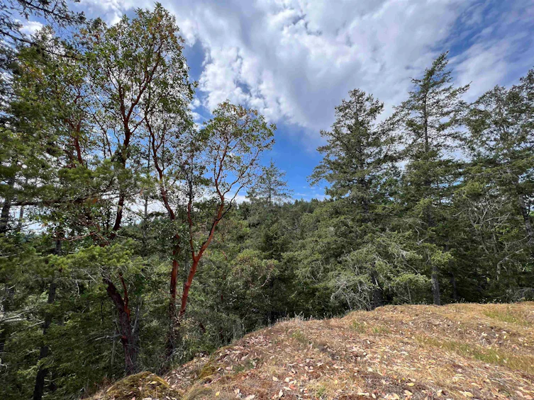 LOT 123 Esquire Drive, Pender Harbour Egmont, BC, V0N 1V7 - 20