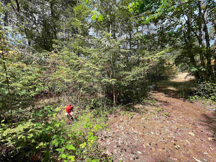 LOT 123 Esquire Drive, Pender Harbour Egmont, BC, V0N 1V7 - 21