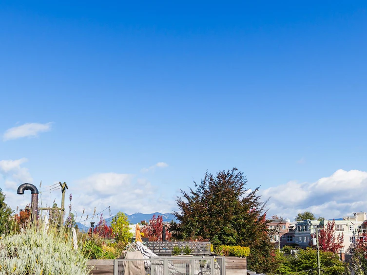 3199 St. George Street, Vancouver, BC, V5T 3R9 - 31