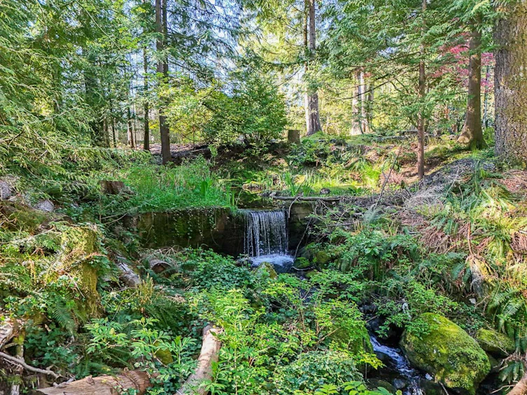 3025 Anmore Creek Way, Port Moody, BC, V3H 5G6 - 4