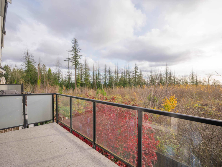18-21150 76a Avenue, Langley, BC, V2Y 0V9 - 17