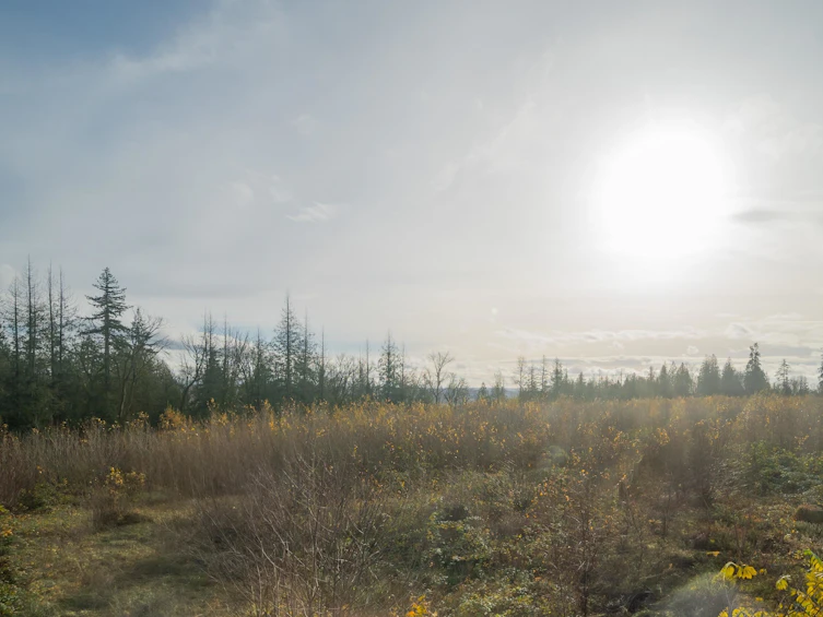 18-21150 76a Avenue, Langley, BC, V2Y 0V9 - 22