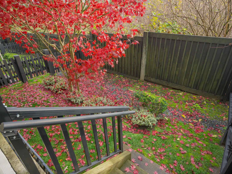 18-21150 76a Avenue, Langley, BC, V2Y 0V9 - 36