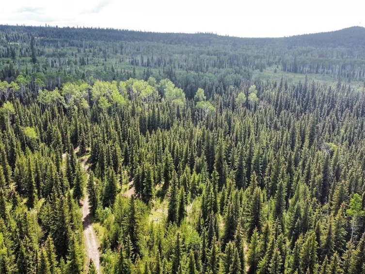 6708 Fawn Creek Road, Lone Butte, BC, V0K 1X3 - 6
