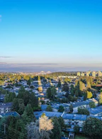 1910 7303 Noble Lane