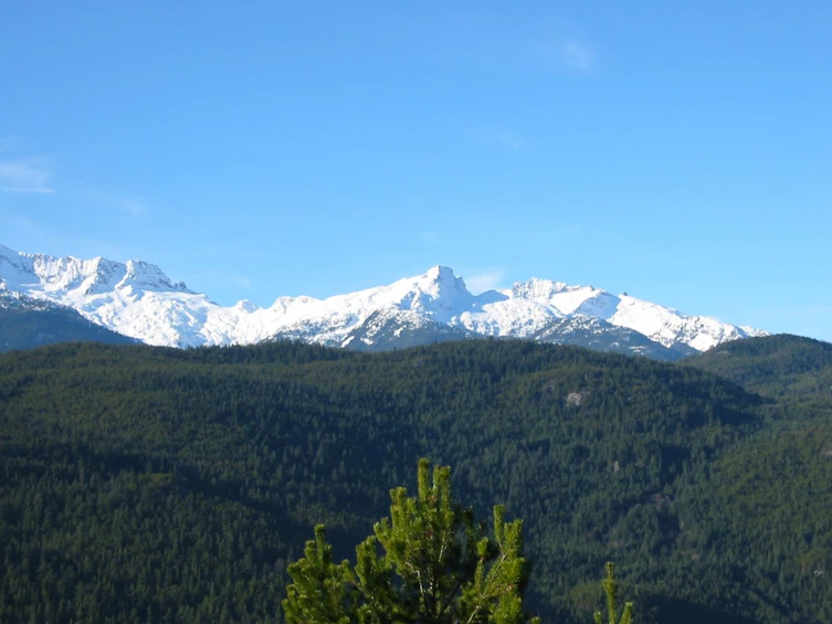 202-4111 Golfers Approach, Whistler, BC, V8E 1A4 - 29