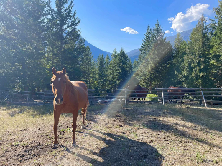 1911 Sweetwater Lane, Pemberton, BC, V0N 2K0 - 30