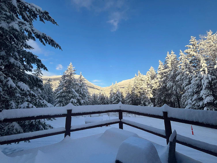 1911 Sweetwater Lane, Pemberton, BC, V0N 2K0 - 24