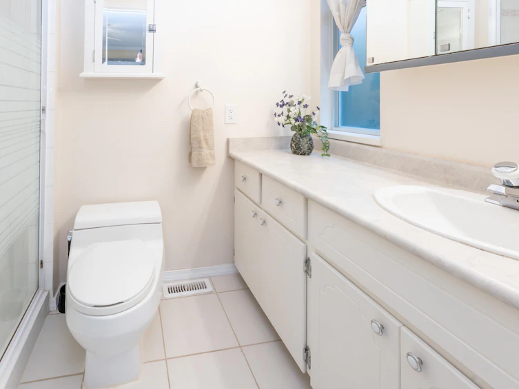 12205 202 Street, Maple Ridge, BC, V2X 8X6 - 13