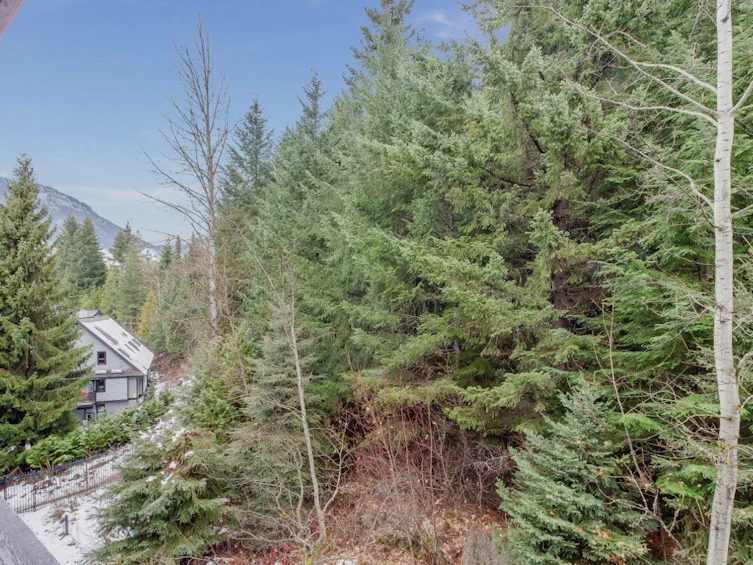 303C-2020 London Lane, Whistler, BC, V0N 1B2 - 4