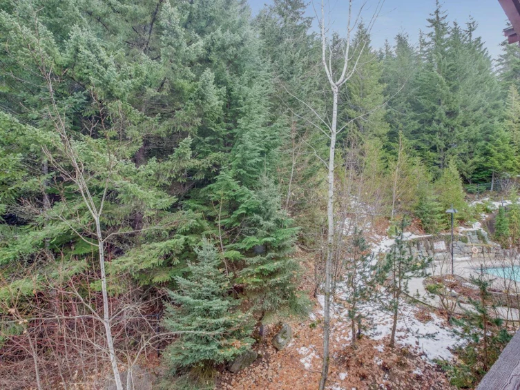 303C-2020 London Lane, Whistler, BC, V0N 1B2 - 5