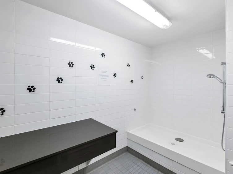 22-8138 204 Street, Langley, BC, V2Y 0T4 - 35
