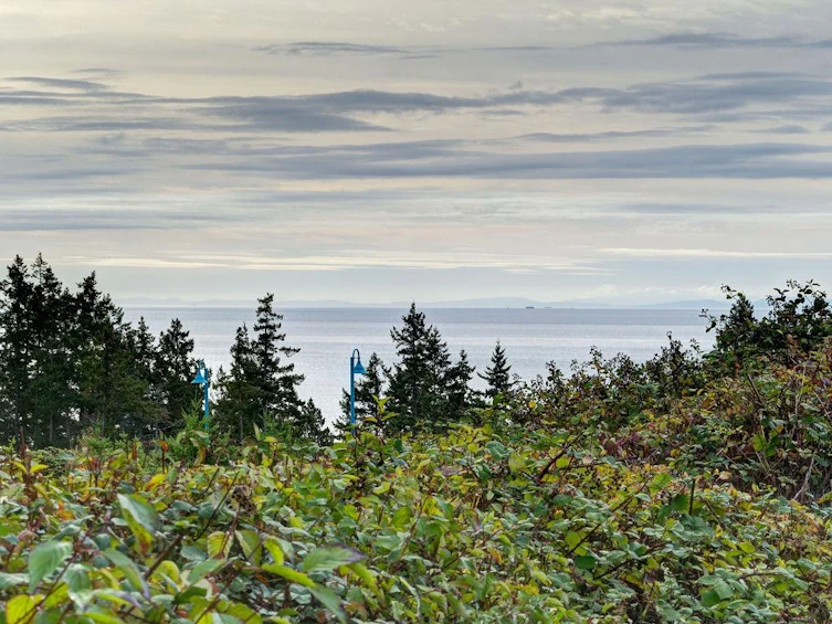 5540 Clayton Avenue, Sechelt, BC, V7Z 0V1 - 25