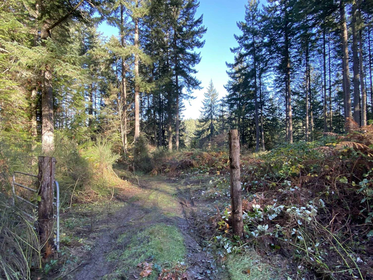 1305 Stalker Road, Pender Island, BC, V0N 2M1 - 6