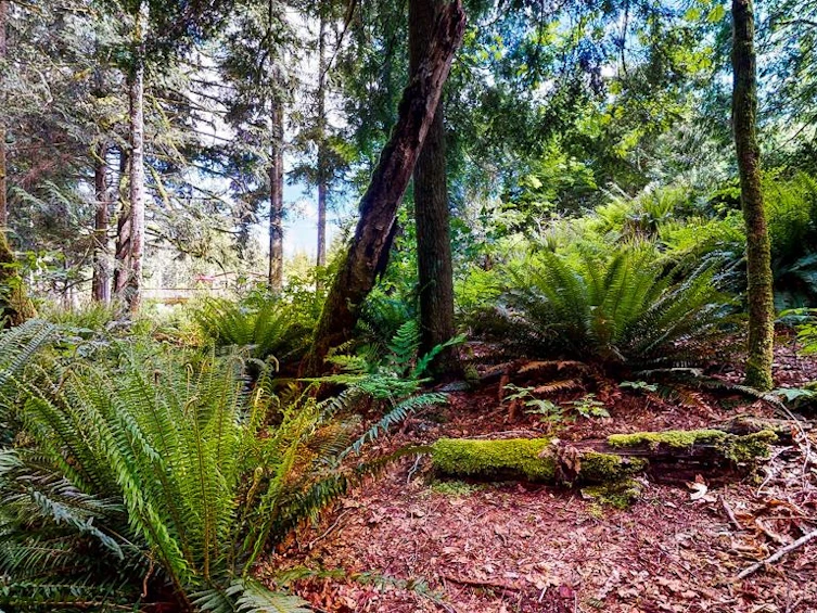 2100 Port Mellon Highway, Gibsons, BC, V0N 1V6 - 20
