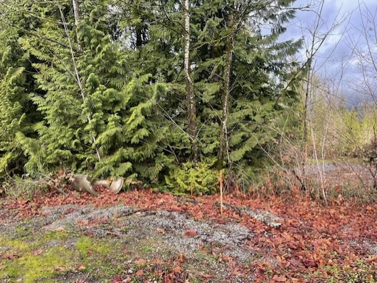 25415 Bosonworth Avenue, Maple Ridge, BC