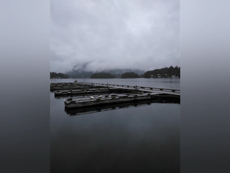 SL 46-4622 Sinclair Bay Road, Pender Harbour Egmont, BC, V0N 1S1 - 15