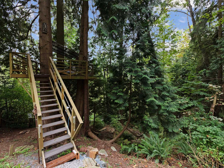 14066 Trites Road, Surrey, BC, V3X 3E8 - 30