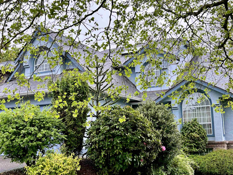 14206 86 Avenue, Surrey, BC, V3W 0S6 - 35
