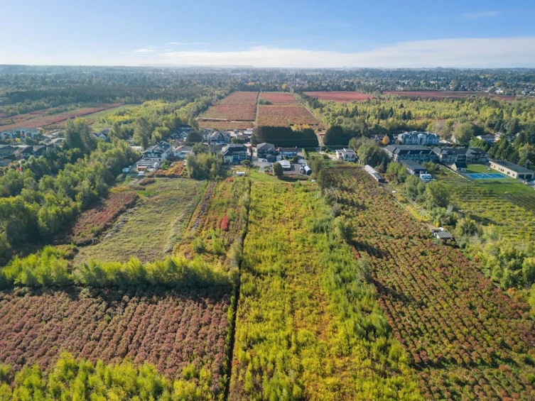10691 Blundell Road, Richmond, BC, V6Y 1L2 - 39