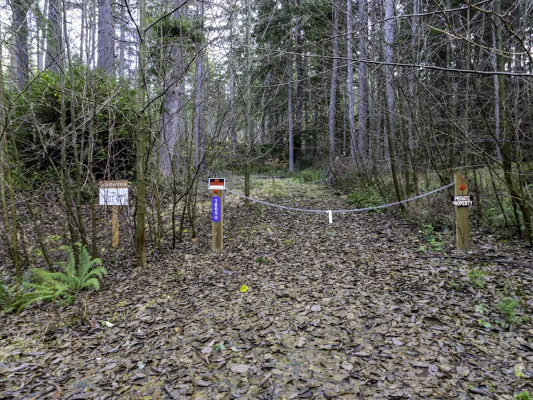 1805 Cape Drive, Bowen Island, BC, V0N 1G2 - 3