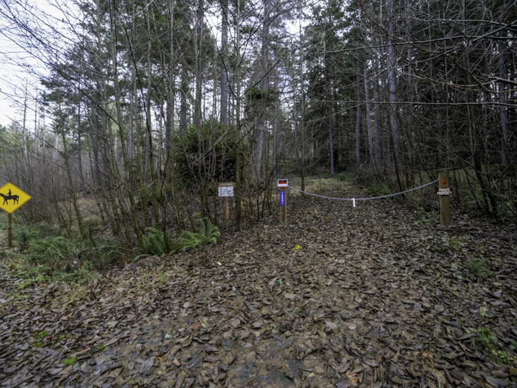 1805 Cape Drive, Bowen Island, BC, V0N 1G2 - 4