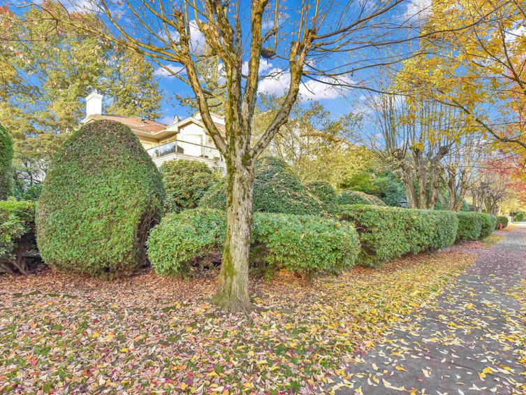 110-1955 Suffolk Avenue, Port Coquitlam, BC, V3B 1H3 - 35