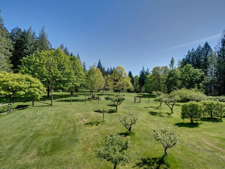 817 Byng Road, Roberts Creek, BC, V0N 2W6 - 3