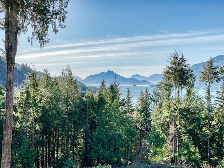 1024 Goat Ridge Drive, Squamish, BC, V8B 1J2