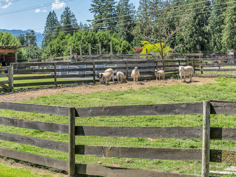 52484 Yale Road, Chilliwack, BC, V0X 1X1 - 37