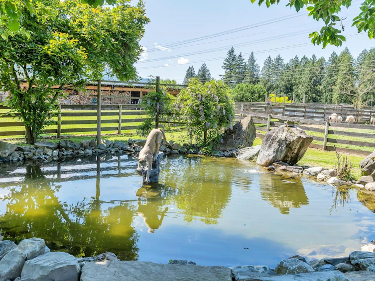 52484 Yale Road, Chilliwack, BC, V0X 1X1 - 38