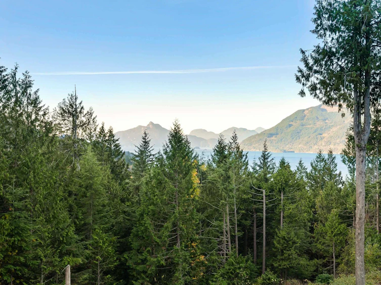 1028 Goat Ridge Drive, Squamish, BC, V8B 1J2 - 16
