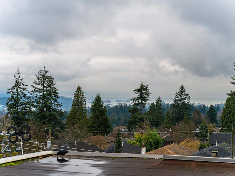 202-107 W 27th Street, North Vancouver, BC, V7N 4G5 - 29