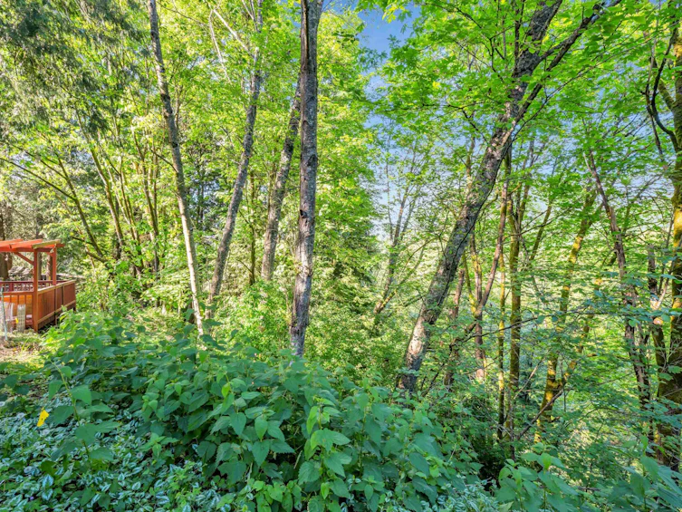 9150 Norum Road, Delta, BC, V4C 3J1 - 38