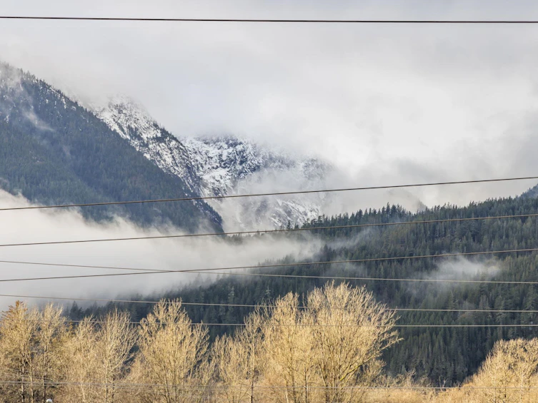227-40437 Tantalus Road, Squamish, BC, V0N 1T0 - 17