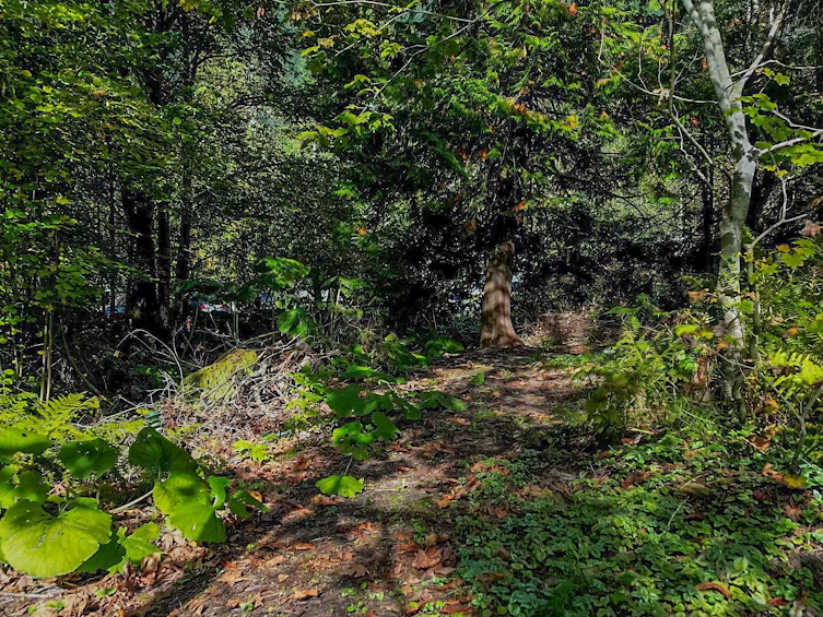 66563 Summer Road, Hope, BC, V0X 1L1 - 20