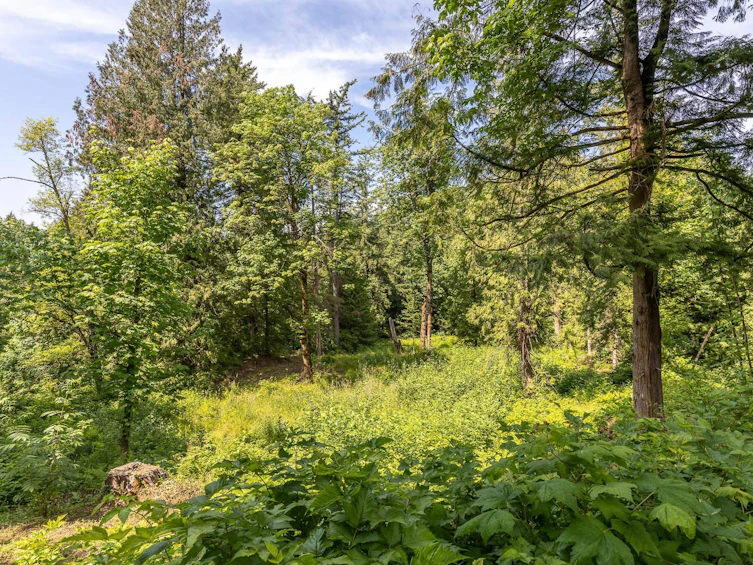 30883 Downes Road, Abbotsford, BC, V2S 1L5 - 23