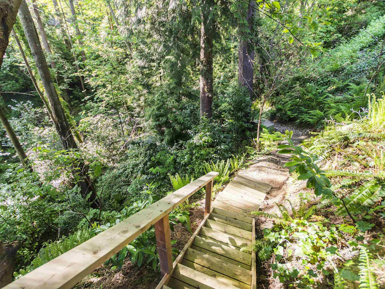 2440 Queens Avenue, West Vancouver, BC, V7V 2Y6 - 29