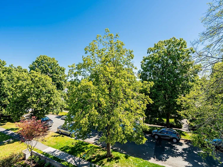 1-6273 Windsor Street, Vancouver, BC, V5W 3J2 - 30