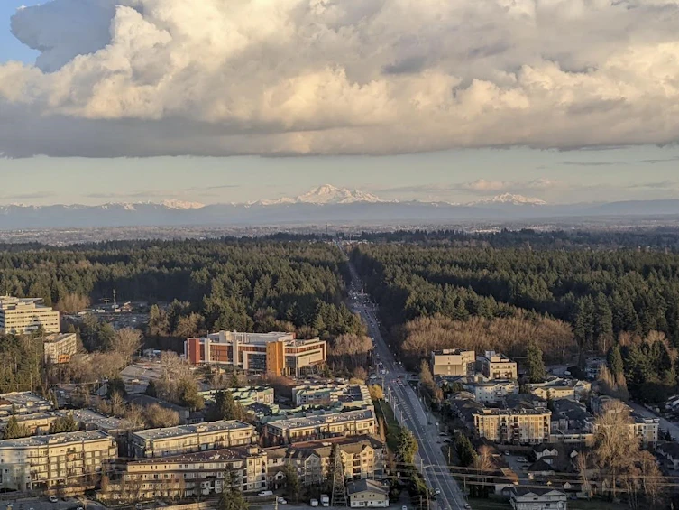 4105-9887 Whalley Boulevard, Surrey, BC, V3T 0P4 - 34