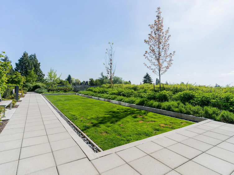 1711-7303 Noble Lane, Burnaby, BC, V3N 0H2 - 37